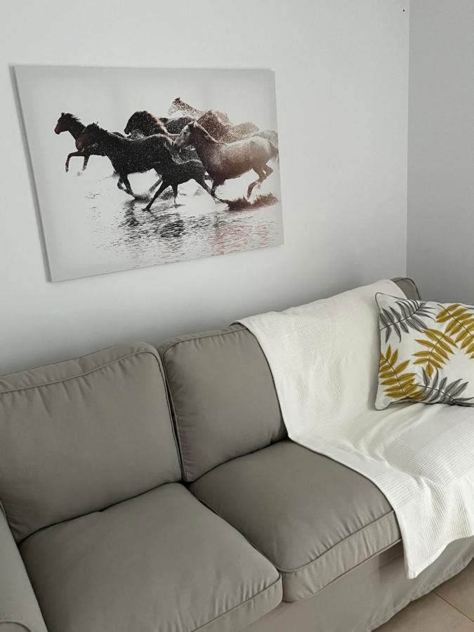 Sherry Suites VI Apartamentos Parking Gratuito Херес-де-ла-Фронтера Экстерьер фото